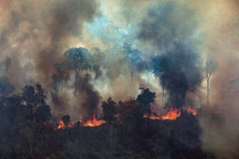 C. Cooney, “Up in smoke: Amazon rainforest fire,” 25 August 2019. [Online, accessed 31 December 2019].